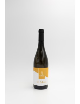 Solaris 2022 – wino białe, półwytrawne